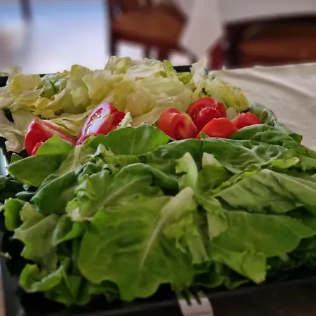 Paradiso Park Курортный комплекс