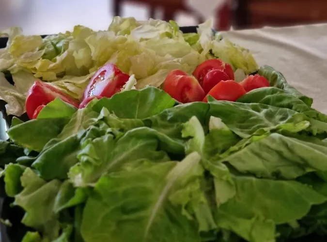 Paradiso Park Station touristique